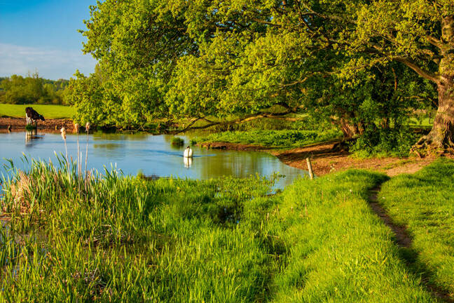 Along the river Stour in the Dedham Vale one morning in May, John Constable country, Suffolk east Anglia England